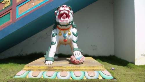 Buddhist Buddhism Temple Monastery Front Lion