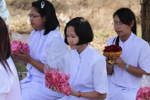 Buddhists Women Female Buddhism Walk Thai People