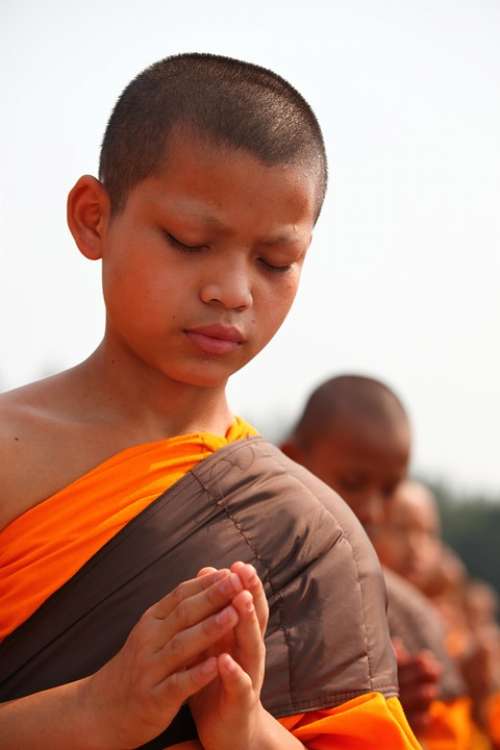Buddhists Monks Child Prayer Buddhism Praying