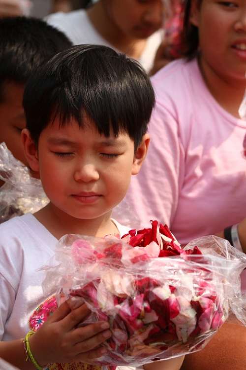 Buddhists Rose Petals Children Monks Tradition