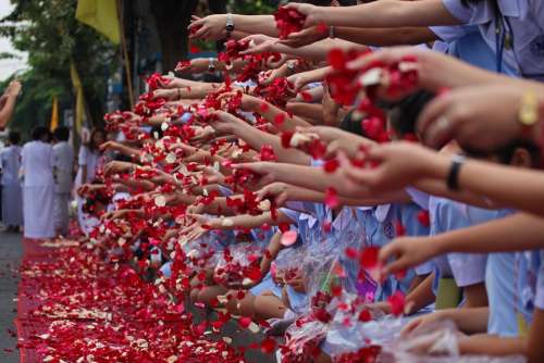 Buddhists Rose Petals Ceremony People Peace