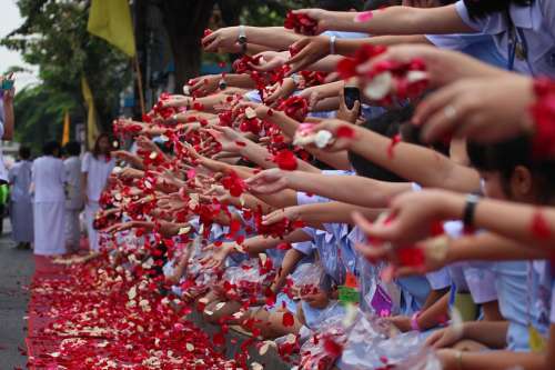 Buddhists Rose Petals Ceremony People Peace