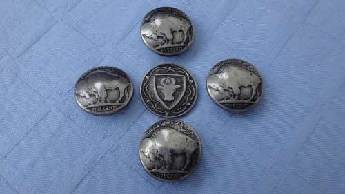 Buffalo Bull Buttons