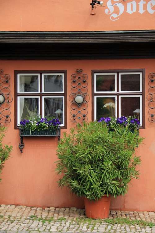 Building House Idyll Plant Window Flowers