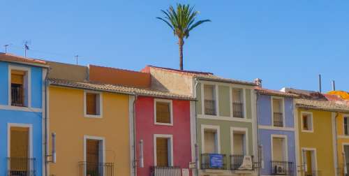 Buildings Color Palm Tree People Silent Holiday