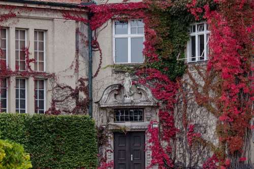 Burgher'S House Art Nouveau Architecture 1900 Red