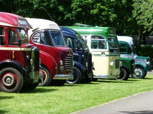 Bus Transport Vintage Transportation Travel Car