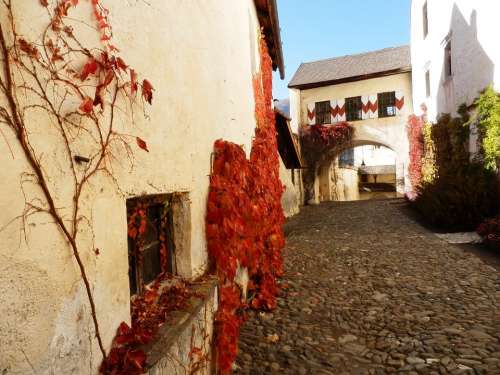 Bush Castle Wall Tyrol