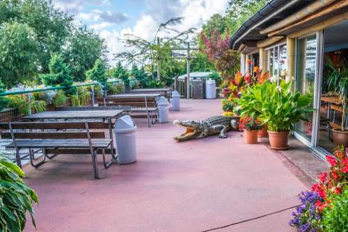 Café Restaurant Skansen Dining Outdoors Sweden