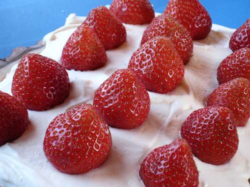 Cake Strawberries Cream Summer Time Fruit Red