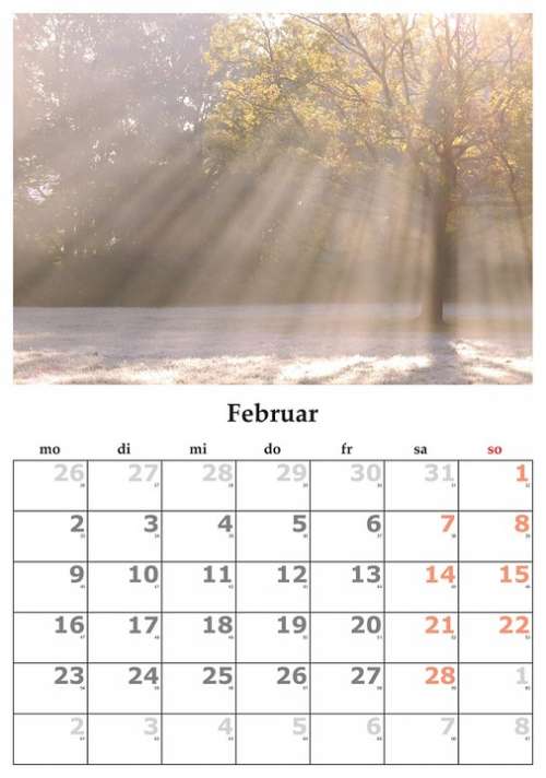 Calendar Month February February 2015