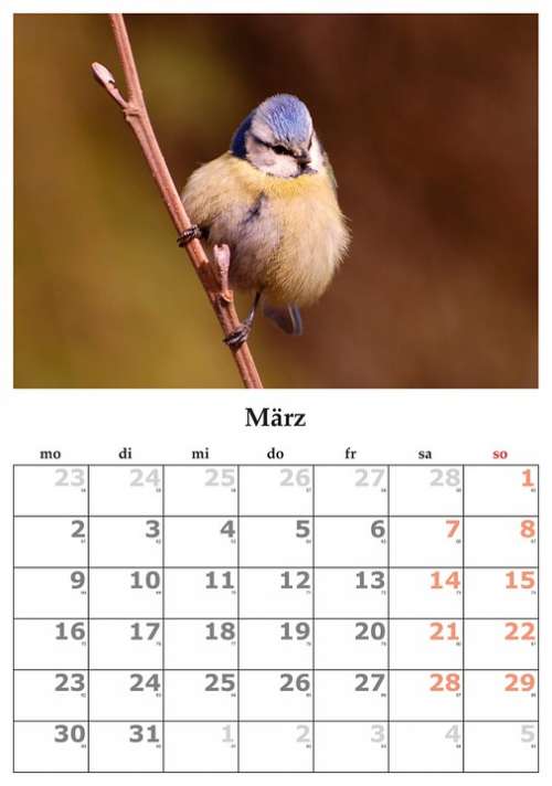 Calendar Month March March 2015