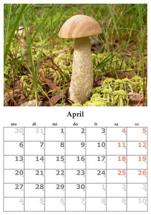 Calendar Month April April 2015