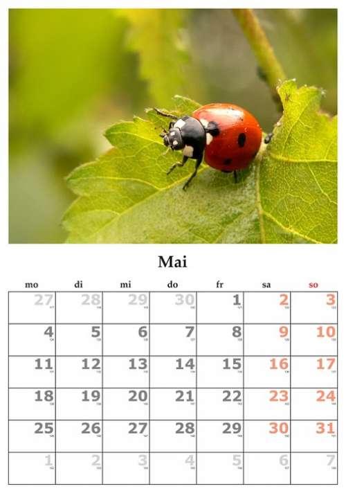 Calendar Month May May 2015