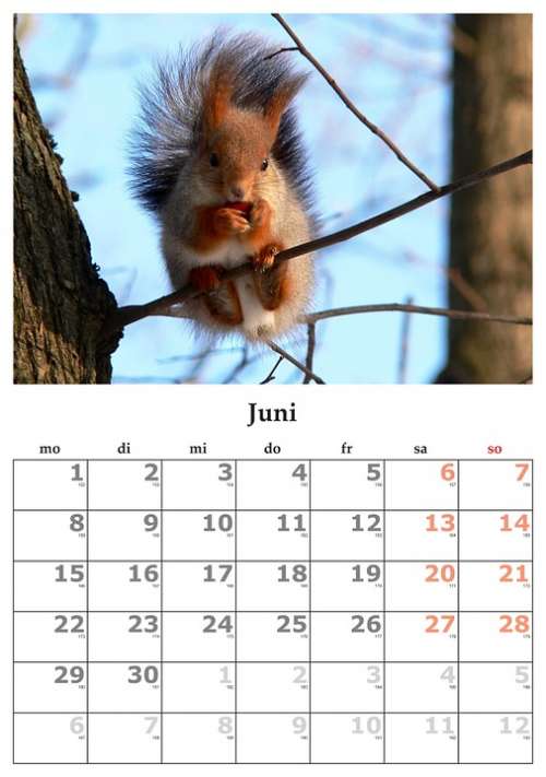 Calendar Month June June 2015