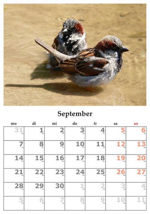 Calendar Month September September 2015