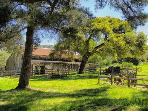 California Barn Farm Rural Rustic Trees Fence
