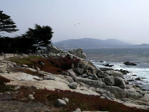California Usa Coast Shoreline Nature Scenery