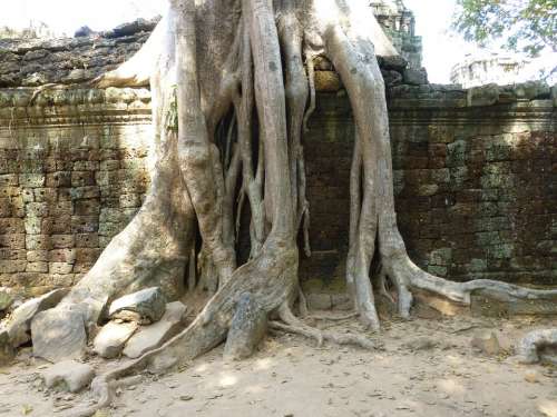 Cambodia Temple Siem Reap