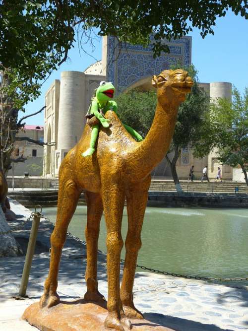 Camel Figure Pond Water Storage Labi Hauz Bukhara