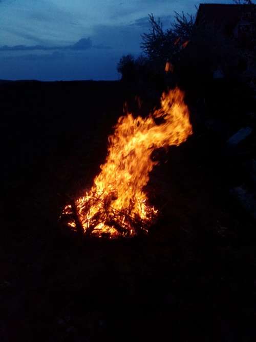 Campfire Flame Hot Yellow Fire Wood Burn