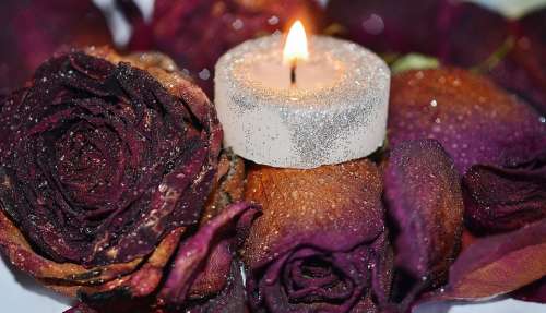 Candle Red Decoration Wax Romantic Soft Roses