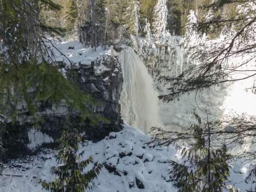 Canim Falls British Columbia Canada Frosted Tree