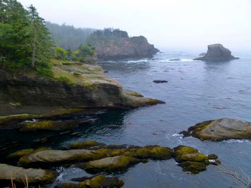 Cape Flattery Mist Fog Washington State Usa Coast