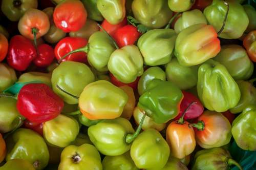 Capsicum Pepper Food Pungent Fruit Macro Close-Up
