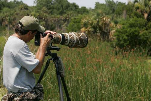 Captures Photographer Wildlife Men Male People