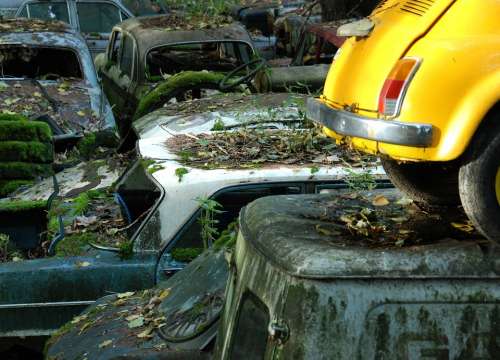 Car Cemetery Discarded Splash Of Color Light Dark