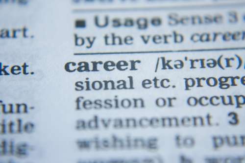 Career Word Dictionary Knowledge Definition Paper
