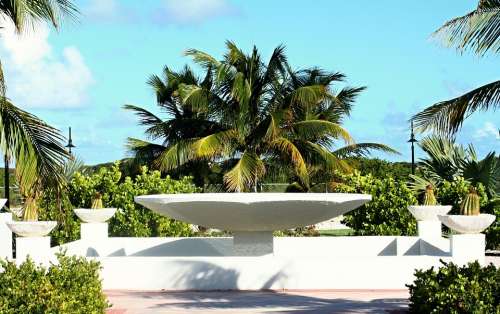 Caribbean Sea Beach Palm Trees Sun Vacations