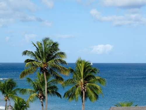 Caribbean Vacation Holiday Ocean Summer Travel