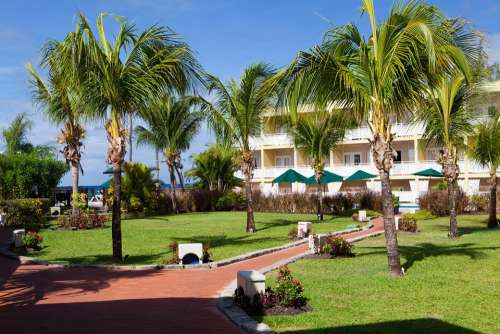 Caribbean Holiday Hotel Outdoor Palms Barbados