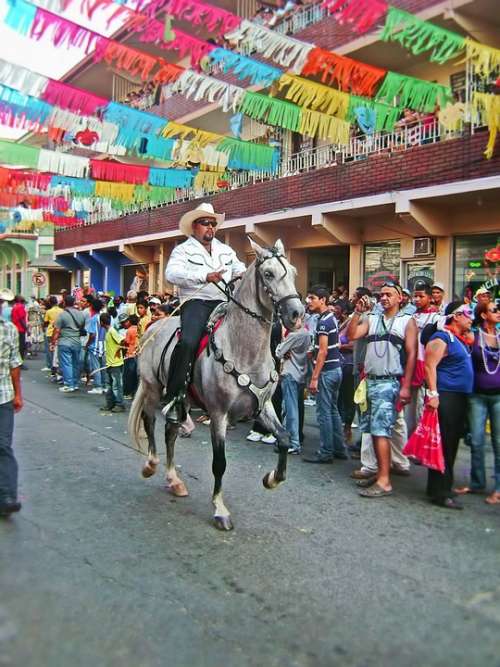Carnival Rider Horse Color
