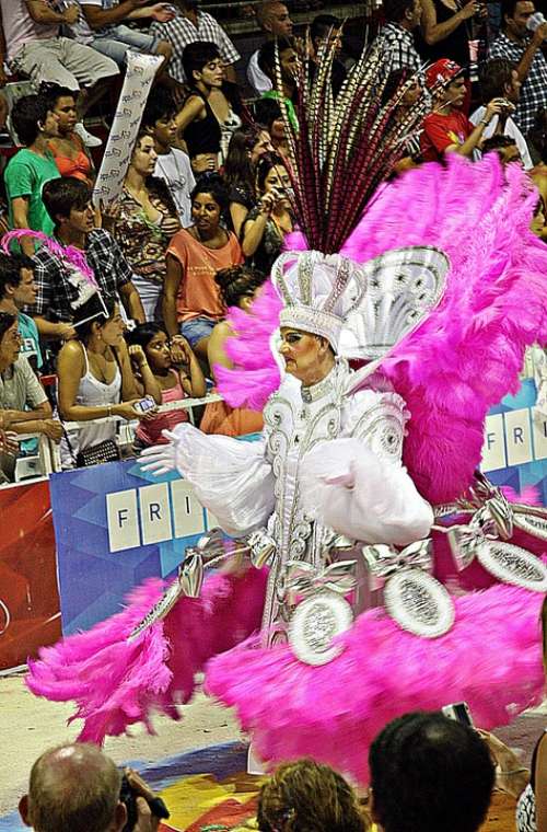 Carnival Costume Rio