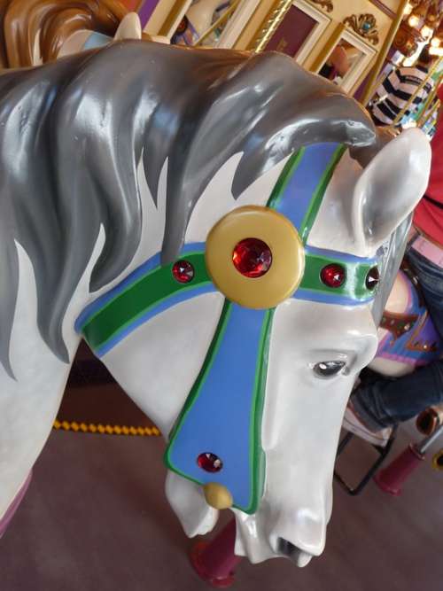 Carousel Horse Children Year Market Fair