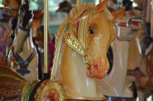 Carousel Horse Merry Round Play Amusement Park