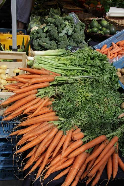 Carrot Broccoli Market