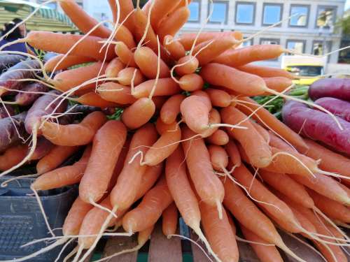 Carrots Vegetables Carrot Fresh Food Plant
