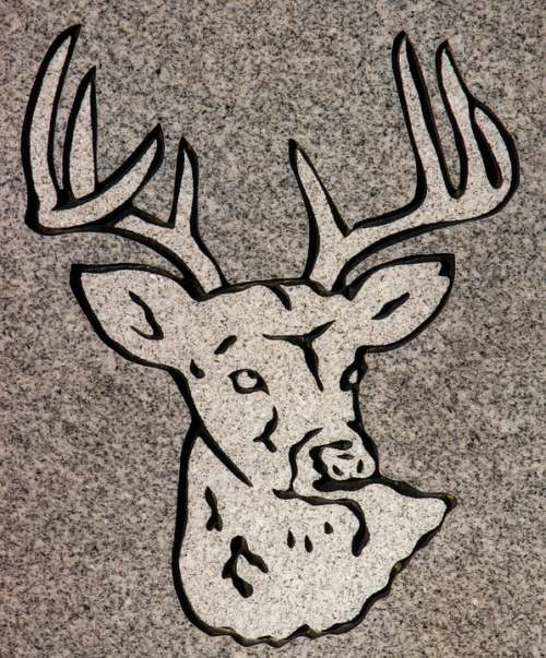 Carving Animal Headstone Symbol Detail Granite