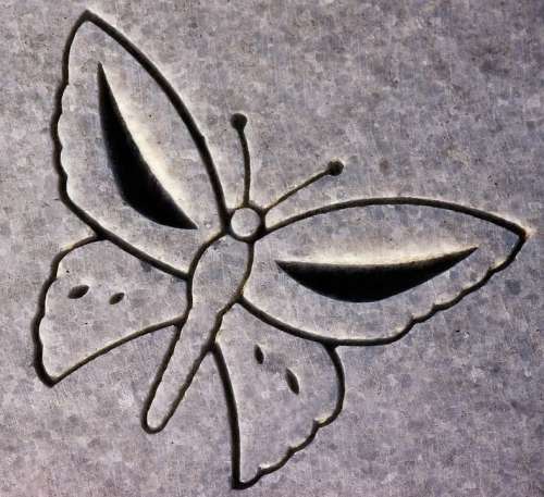 Carving Butterfly Animal Headstone Symbol Detail