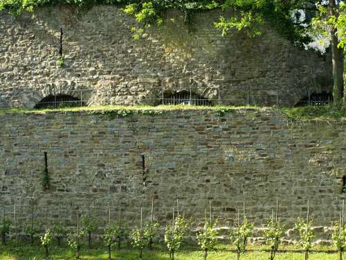 Castle Wall Vineyard City Blankenberg Historically