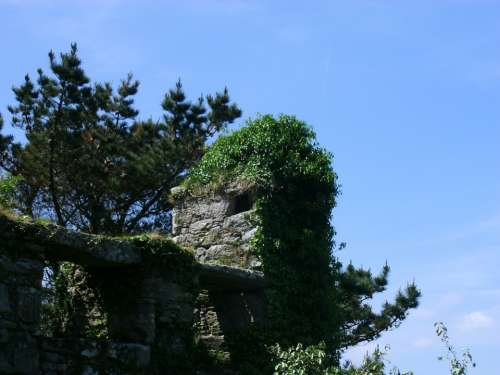 Castle Wall Overgrown Ruin