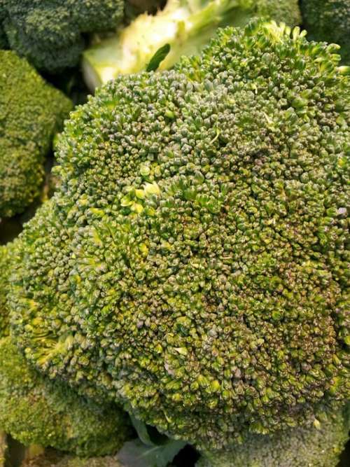 Cauliflower Green Vegetable Fresh Healthy