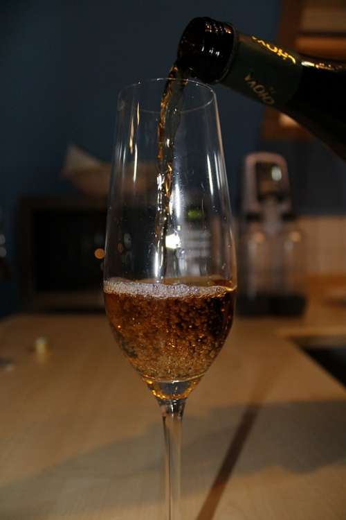 Champagne Glass Drink Bar Beverages Pub Thirst