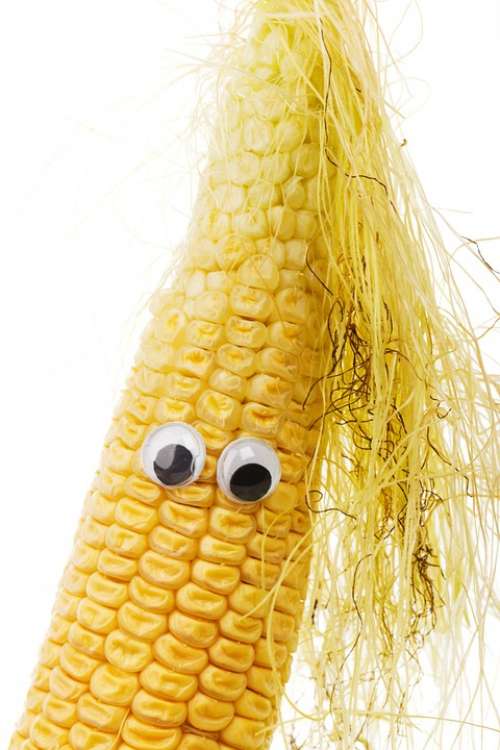 Character Corn Corncob Cute Diet Eye Face Food