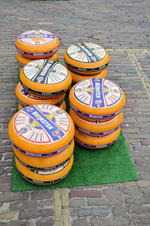 Cheese Market Edam Holland Tradition Culture
