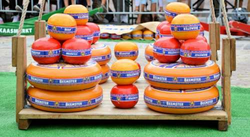Cheese Market Edam Holland Tradition Culture